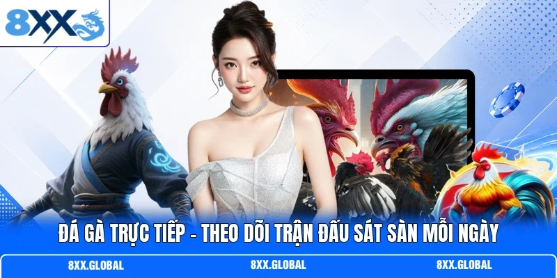 Đá Gà Trực Tiếp