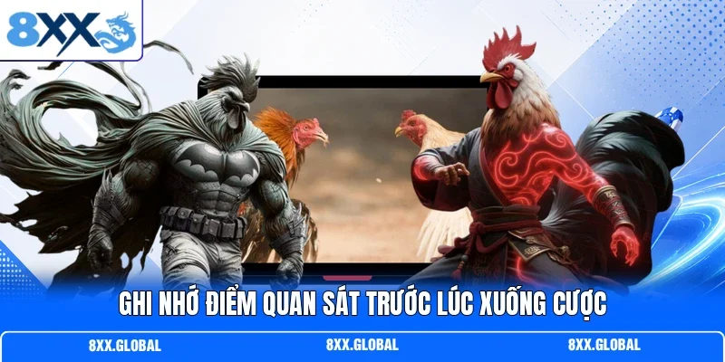 Ghi nhớ điểm quan sát trước lúc xuống cược