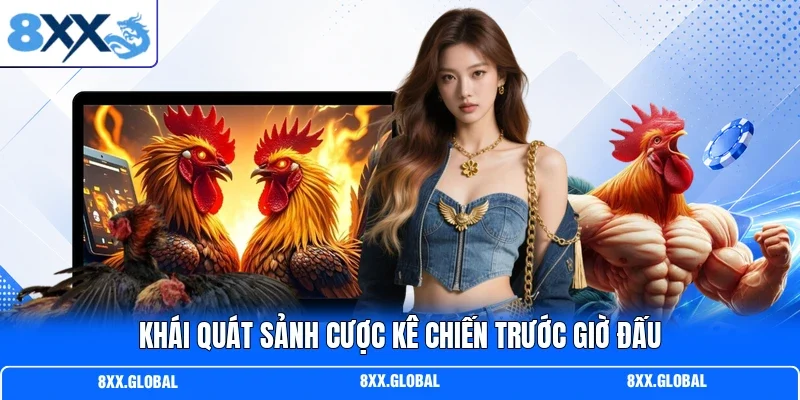 Khái quát sảnh cược kê chiến trước giờ đấu