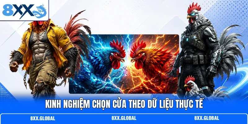 Kinh nghiệm chọn cửa theo dữ liệu thực tế